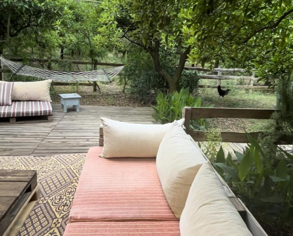 Hotel Campo Portakal Eco Glamping Çıralı Exteriér fotografie