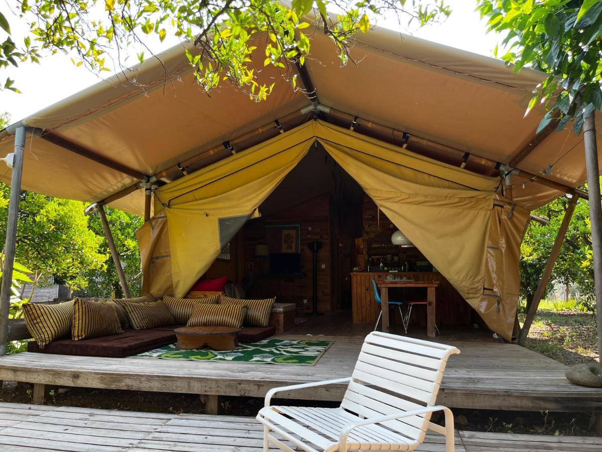 Hotel Campo Portakal Eco Glamping Çıralı Exteriér fotografie