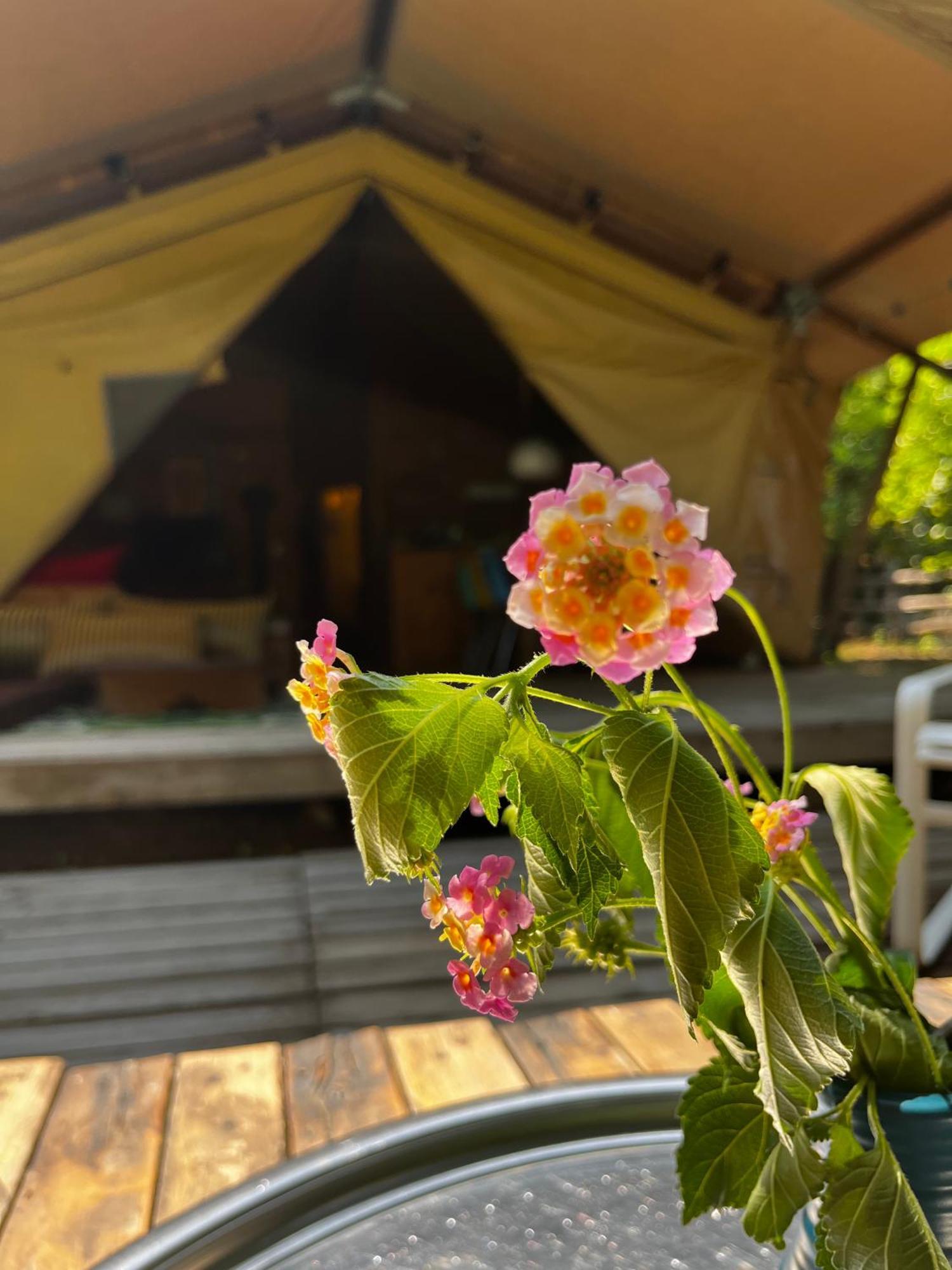 Hotel Campo Portakal Eco Glamping Çıralı Pokoj fotografie