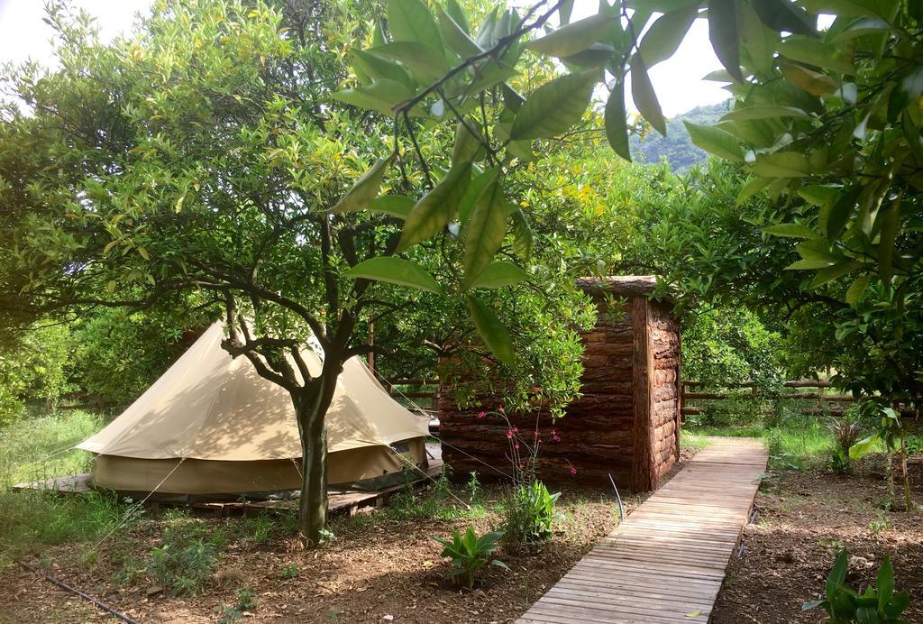 Hotel Campo Portakal Eco Glamping Çıralı Exteriér fotografie